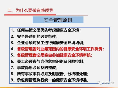 筑牢安全防線 直線組織落實有感領導、直線責任與屬地管理在對外投資管理中的實踐